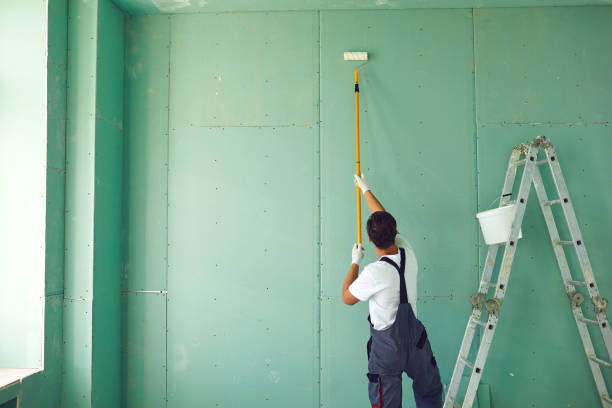 Best Wallpaper Removal and Painting  in Kinder, LA